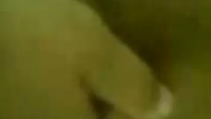 Itu semua siap, hitam, gemuk kucing siap bokep toge super